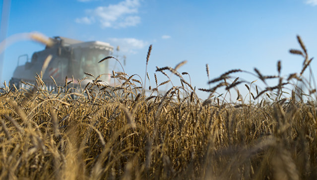 МИД Венесуэлы рассказал о готовности России поставлять в страну пшеницу