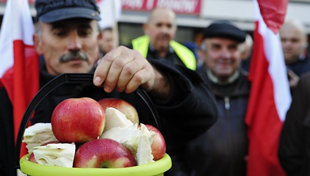 Смоленские пограничники не пустили 60 тонн санкционных яблок из Польши