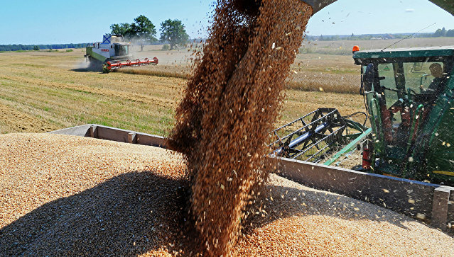 Россия в мае достигла прежних объемов поставок пшеницы в Турцию