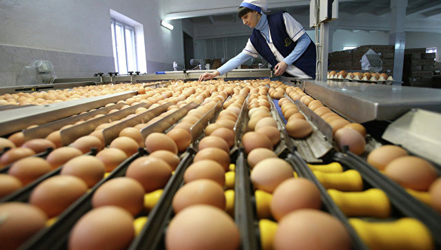 Россия запретила поставки птицы и яйца из одного из регионов Словакии