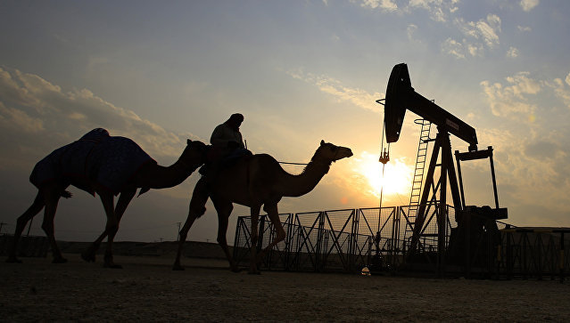 Цены на нефть вернулись к росту на ожиданиях снижения запасов в США